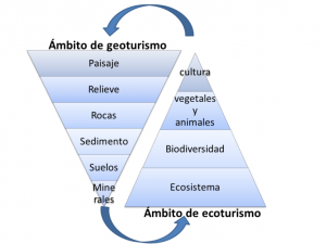 figura1 figura1