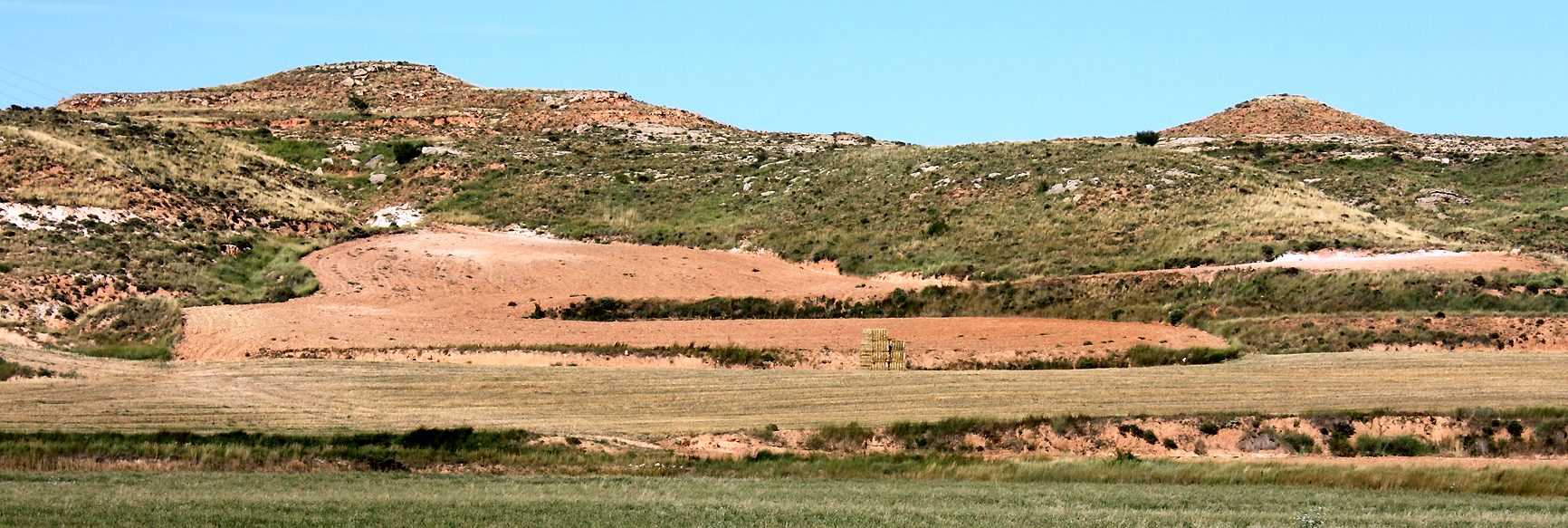 11.1.A pano zona distal