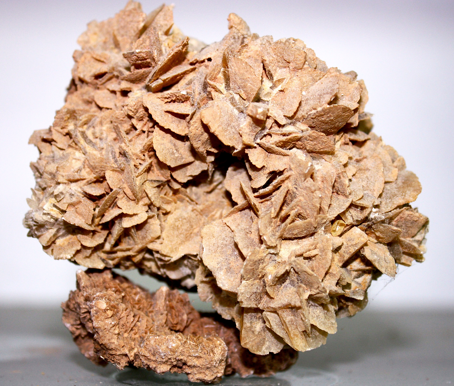 11.2.D yeso en roseta