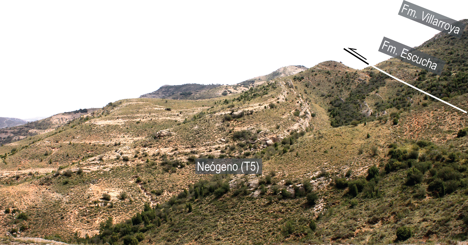 11.5.B Pliegue arrastre