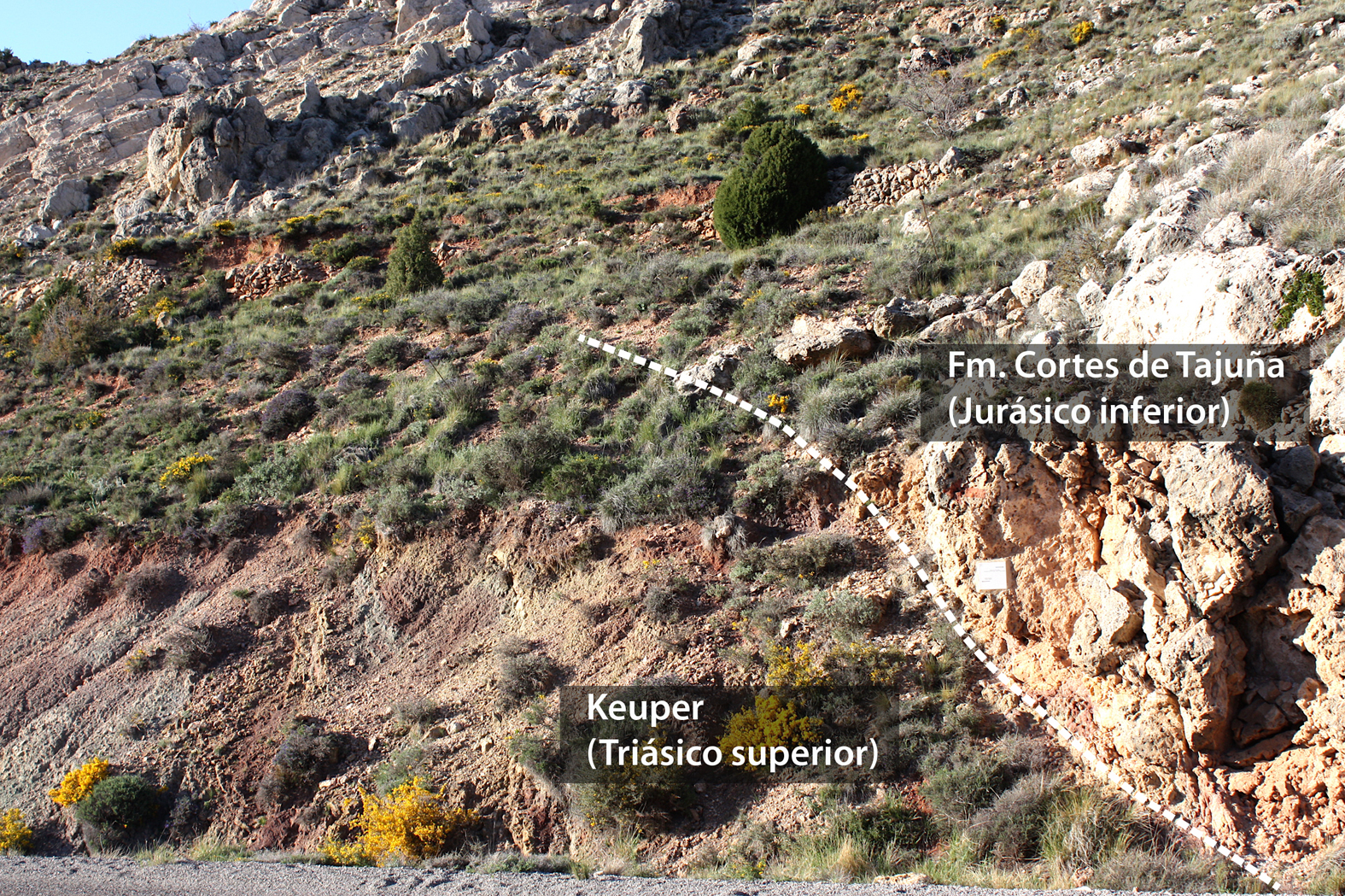 2.1.A contacto Keuper-Tajuña rótulo