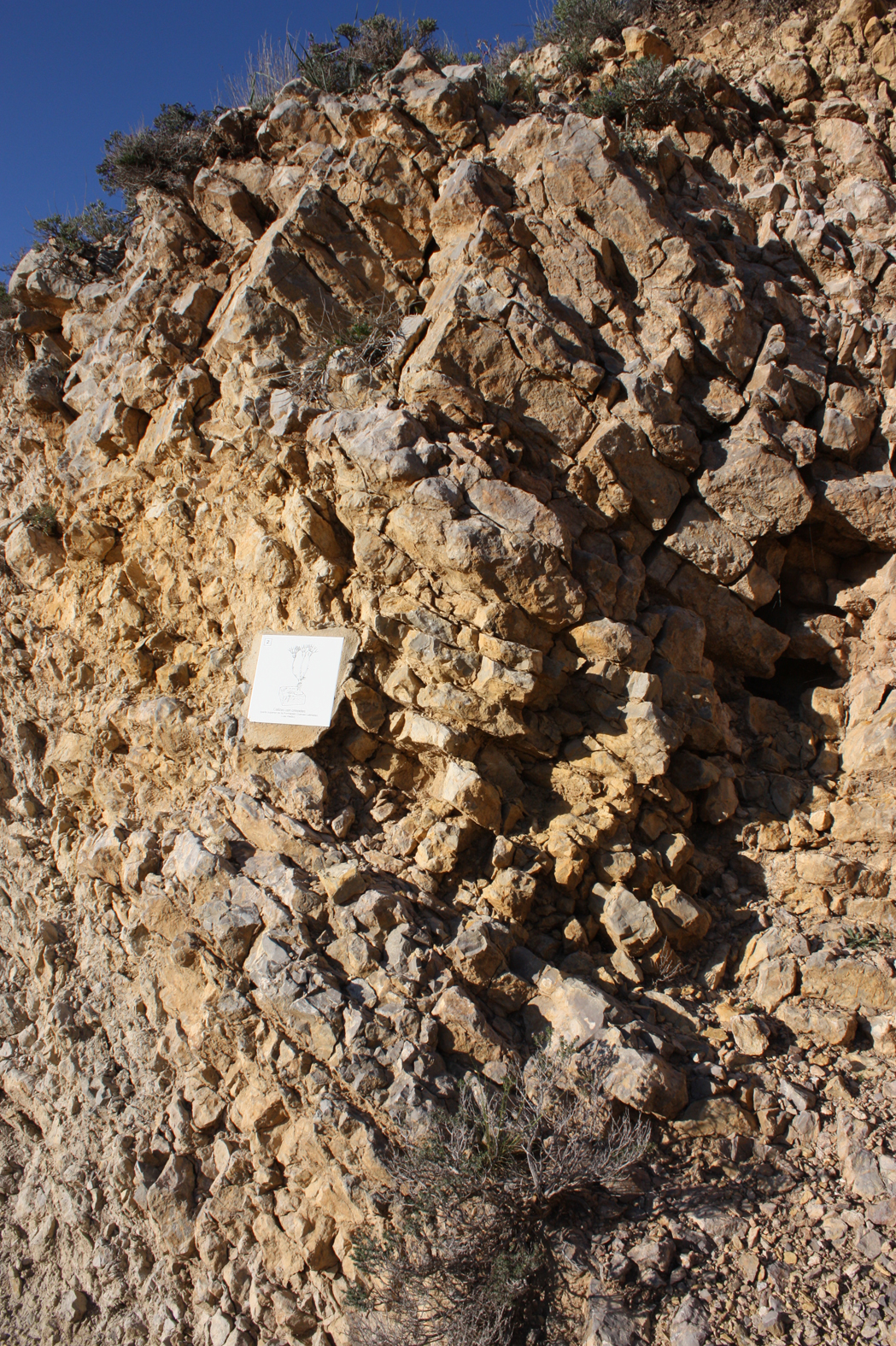 2.2.A Cuevas Labradas tableada