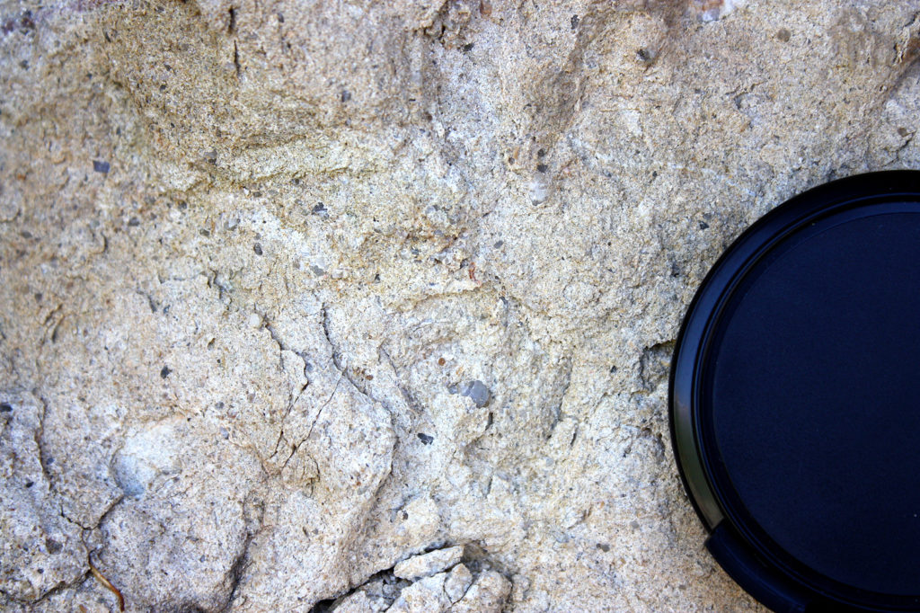 4.2.A Fm Chert granos