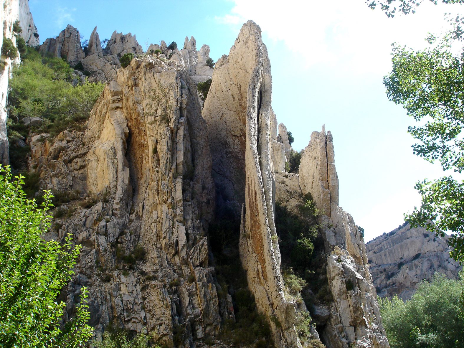 6.3.A cresta pliegue mediano