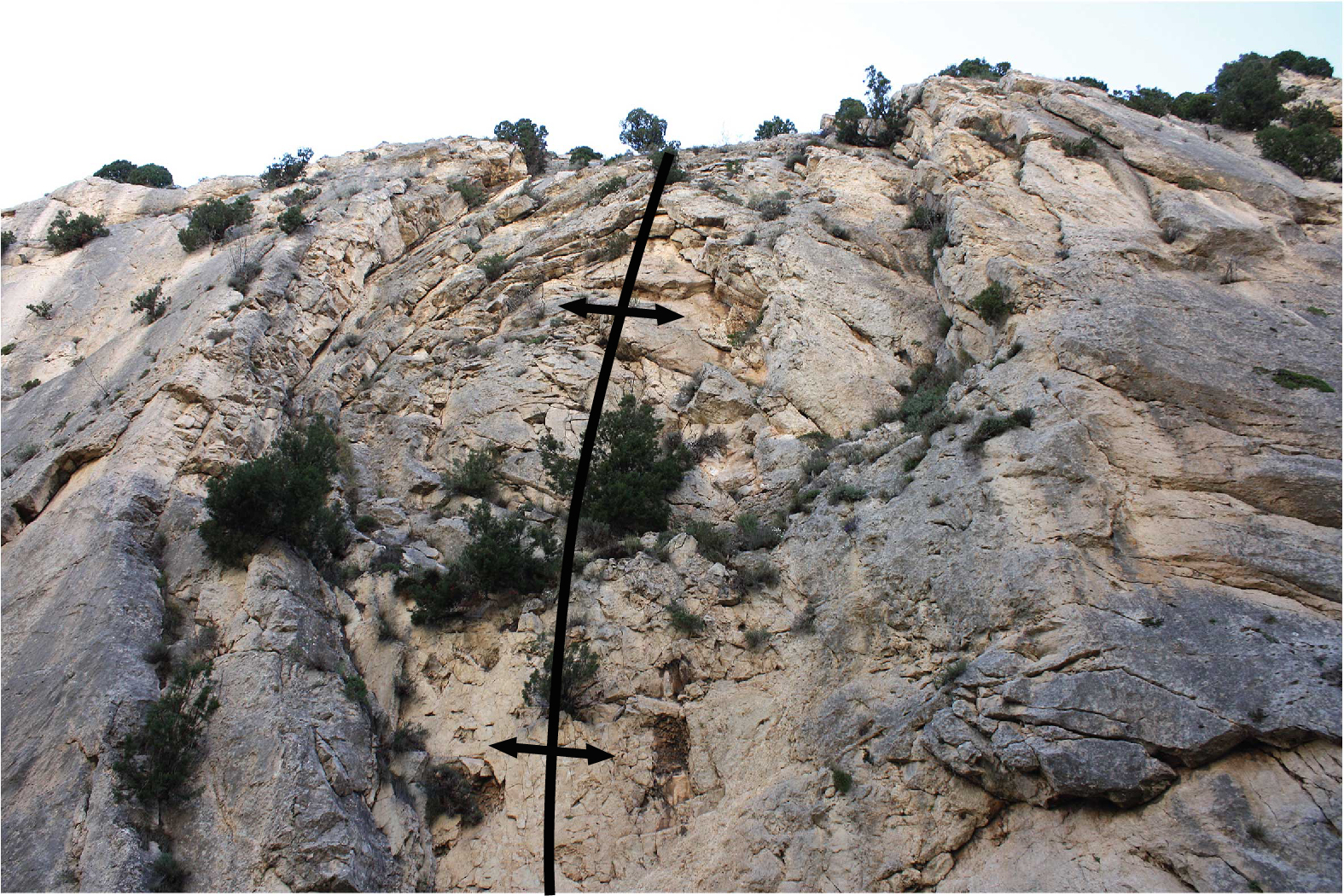 6.6.A CHARNELA GRANDE VERTICAL+traza