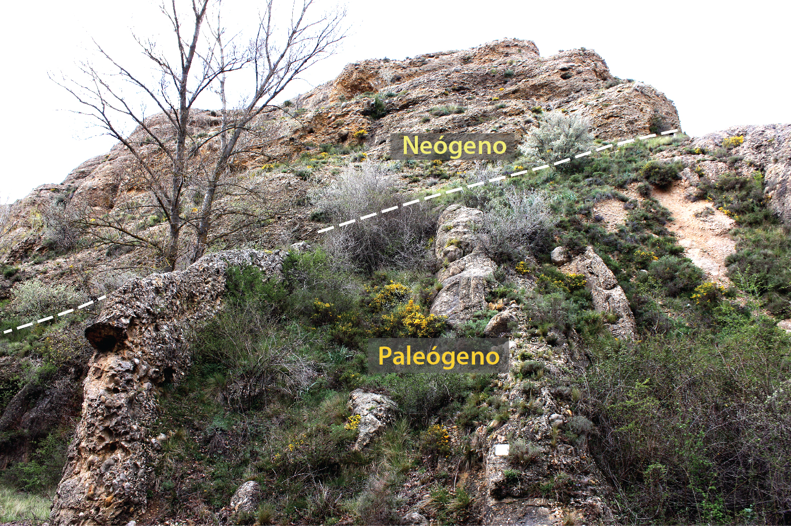 9.1.A discordancia Canaleta