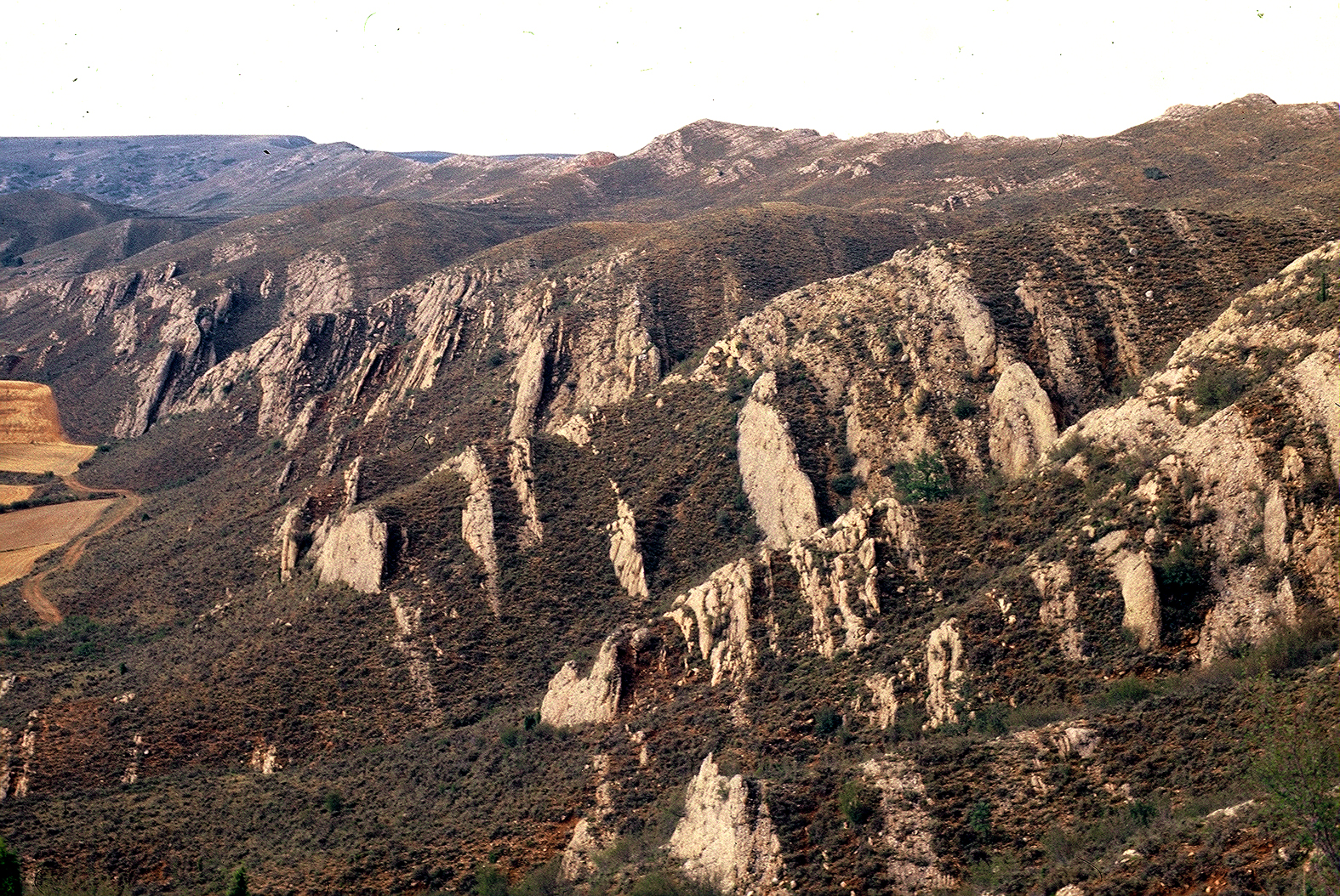 9.1.B T4 cresta Campos