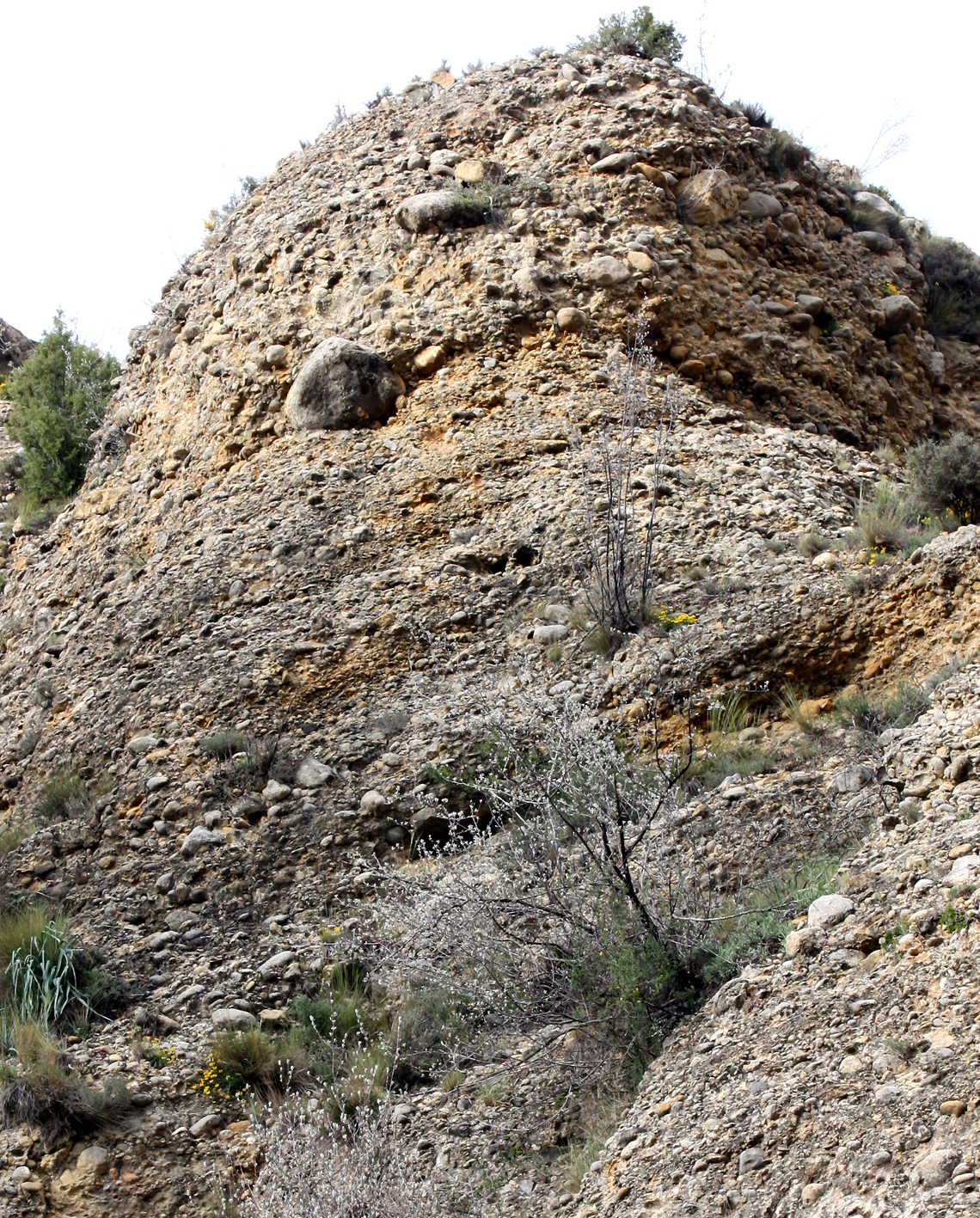 9.4.B Proximal cerca