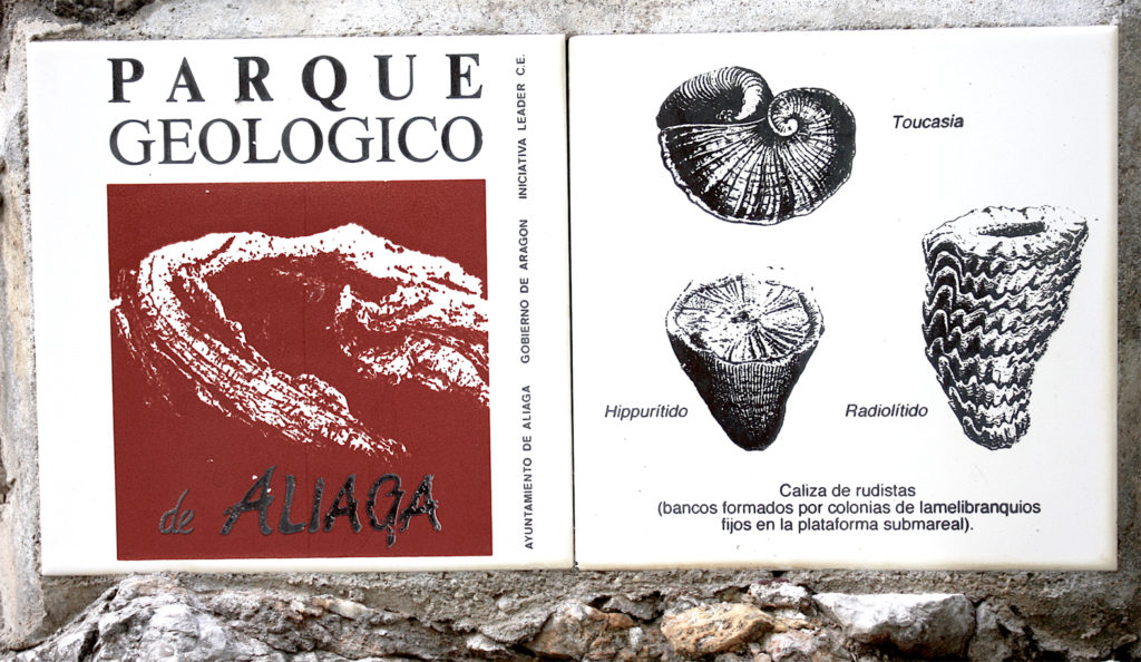 4.3.D baldosa toucasias