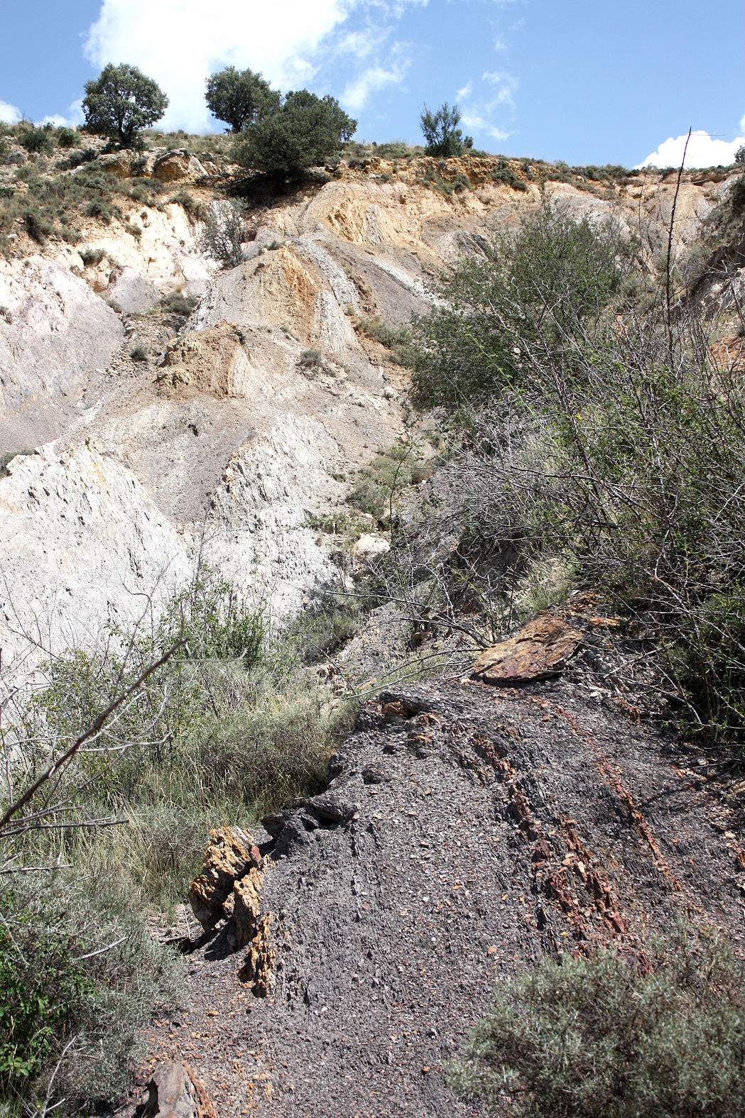 4.4.C capas carbón Hoya Marina