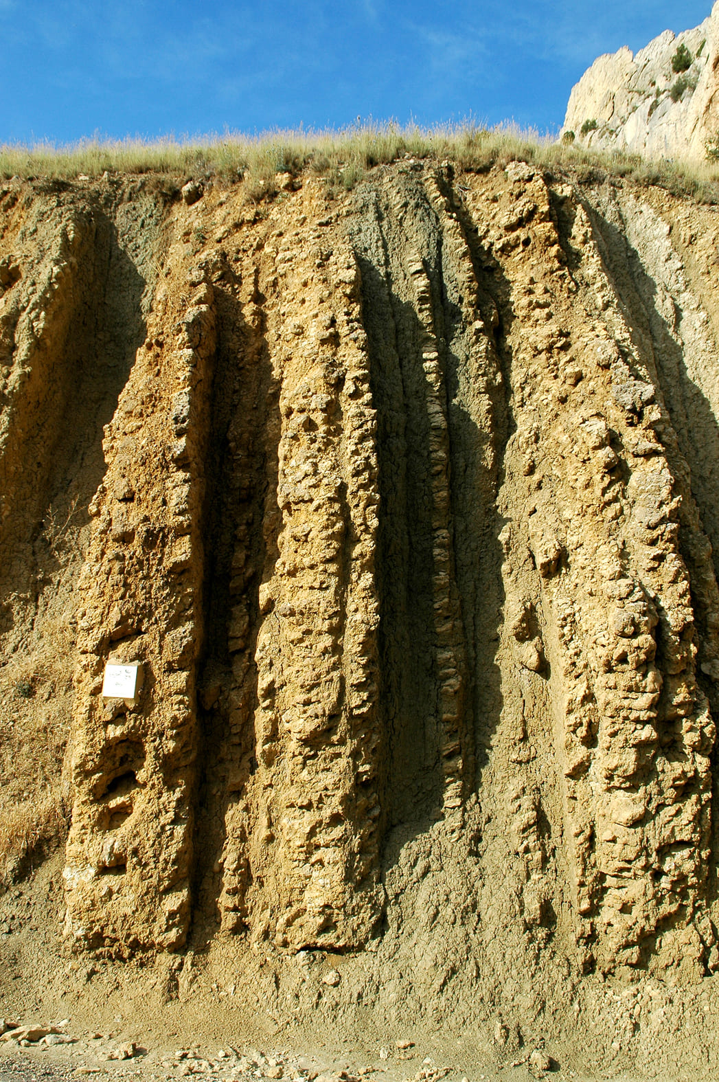 5.2.B CAPAS TRANSICIÓN DETALLE