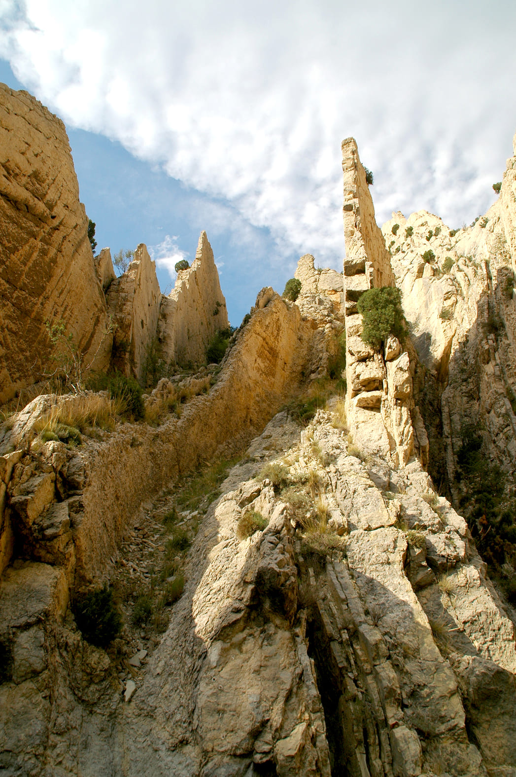 5.4.A crestas Mosqueruela