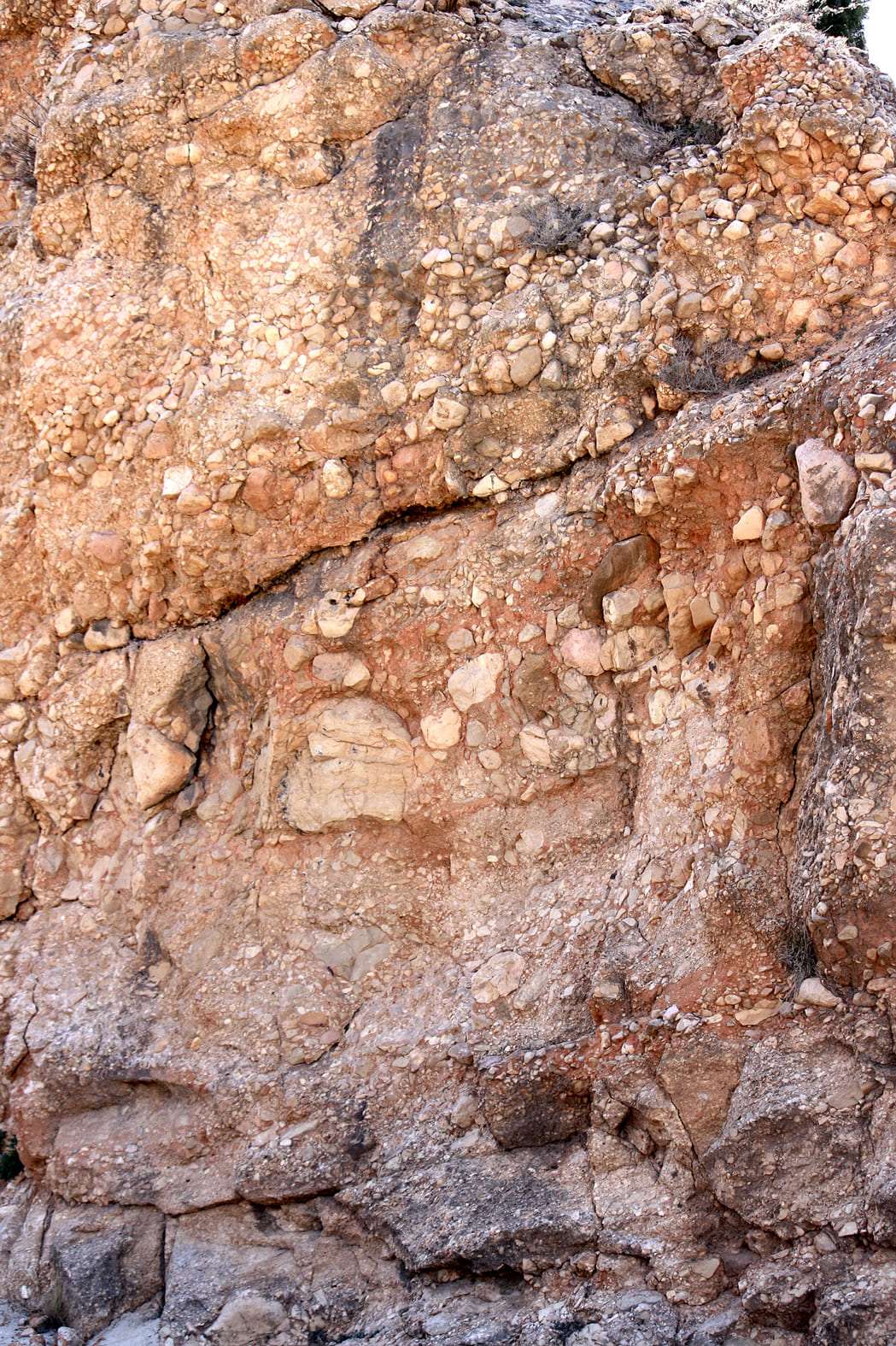 5.7.D PALEÓGENO DETALLE